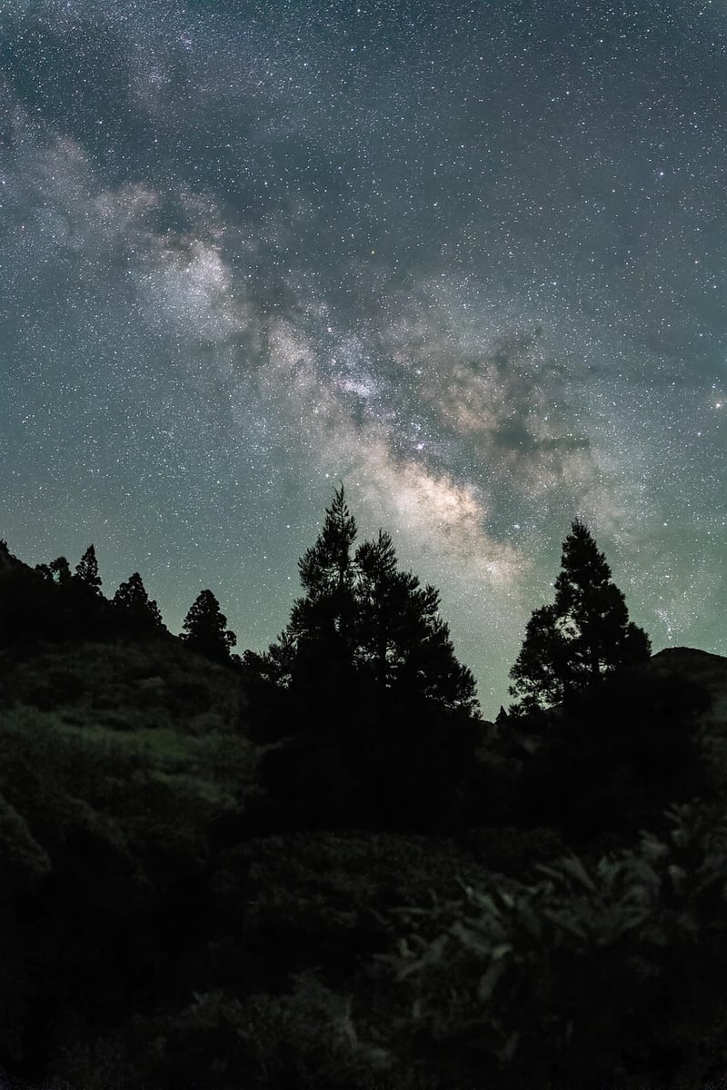 Milky Way Galaxy in the Night Sky